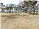 19 Wharff Street, Streaky Bay SA 5680