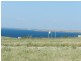 17 Kennedy Road, Streaky Bay SA 5680