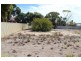 12A Wells Street, Streaky Bay SA 5680