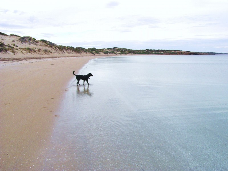 38031B Flinders Highway, LAURA BAY, Ceduna SA 5690