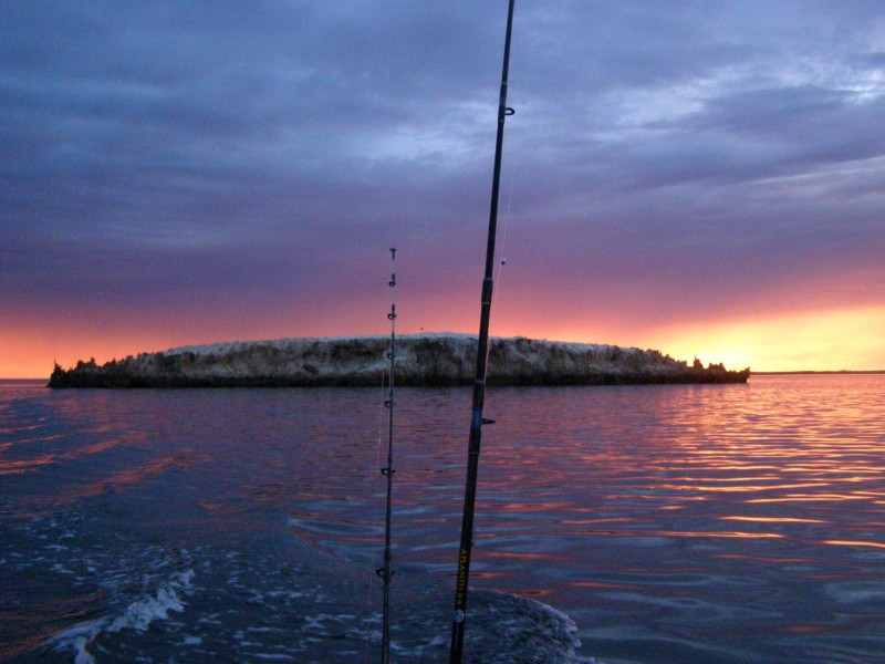 38031B Flinders Highway, LAURA BAY, Ceduna SA 5690