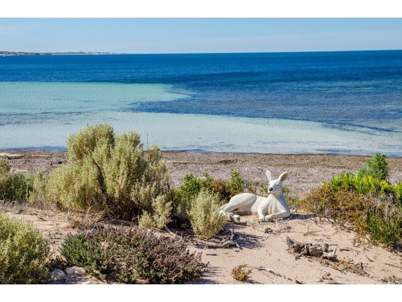 38031 C Flinders Highway via Ceduna, Laura Bay SA 5680