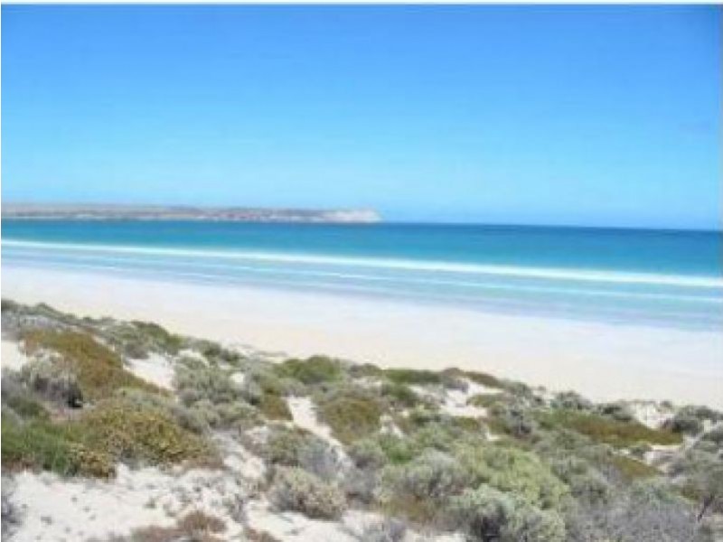 . South Terrace, Sceale Bay SA 5680