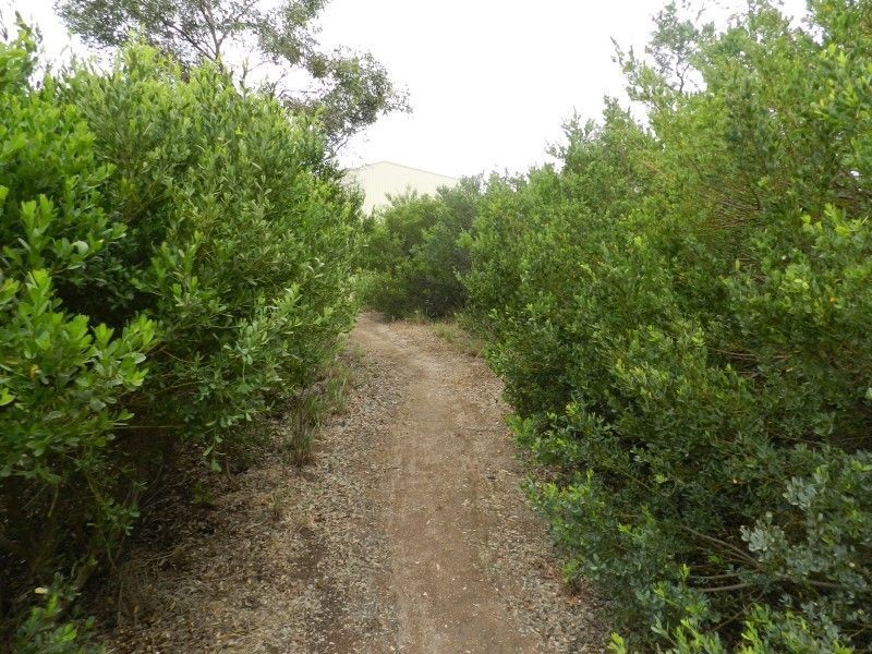 19 East Terrace, Streaky Bay SA 5680