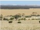 Section 20 Pipeline Road, Streaky Bay SA 5680