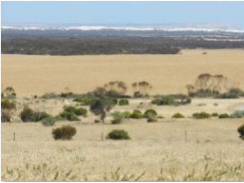 Section 20 Pipeline Road, Streaky Bay SA 5680