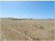 Section 20 Pipeline Road, Streaky Bay SA 5680