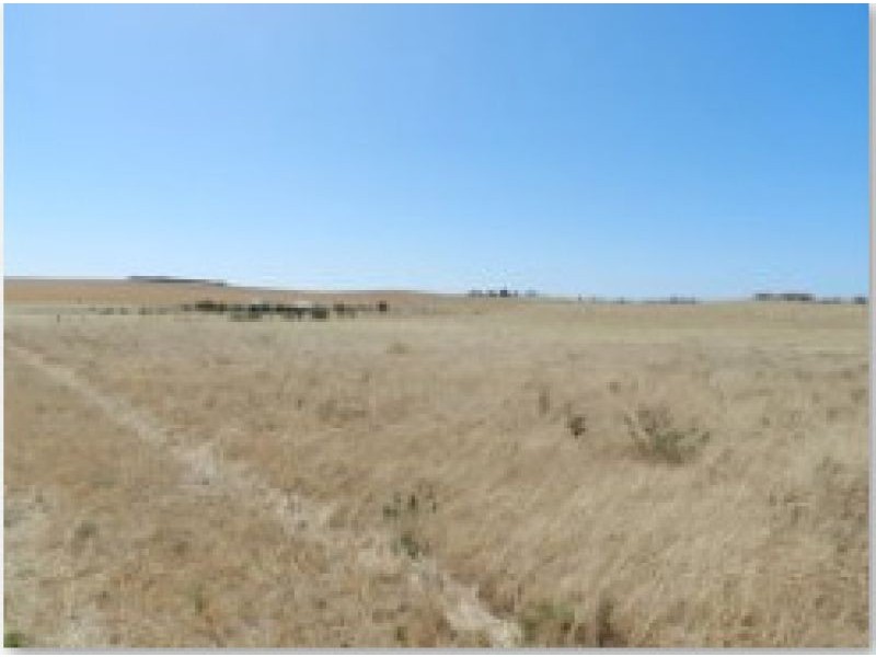 Section 20 Pipeline Road, Streaky Bay SA 5680