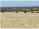 Section 20 Pipeline Road, Streaky Bay SA 5680