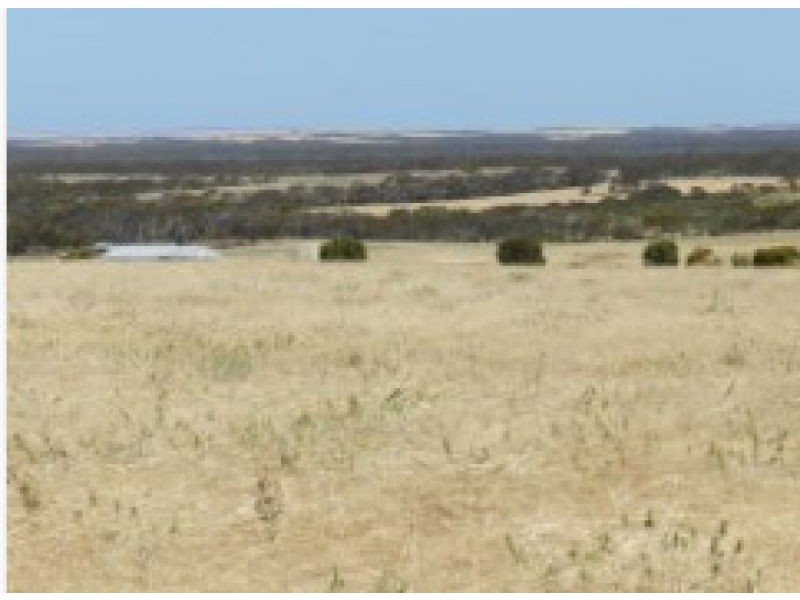 Section 20 Pipeline Road, Streaky Bay SA 5680