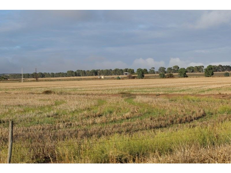 14 Gap Road Warrow, Coulta SA 5607