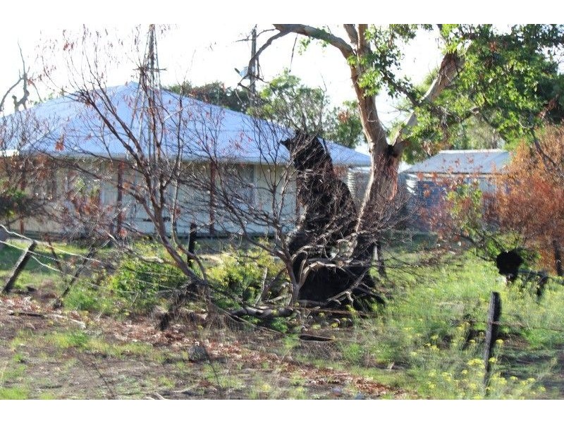 14 Gap Road Warrow, Coulta SA 5607