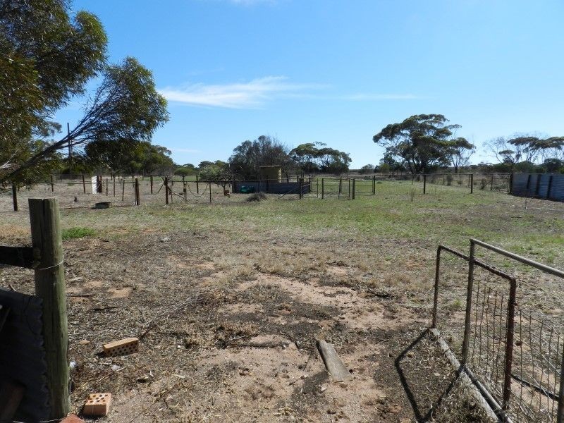 Lots 48 and 49 Willoughby Street, Yaninee SA 5653