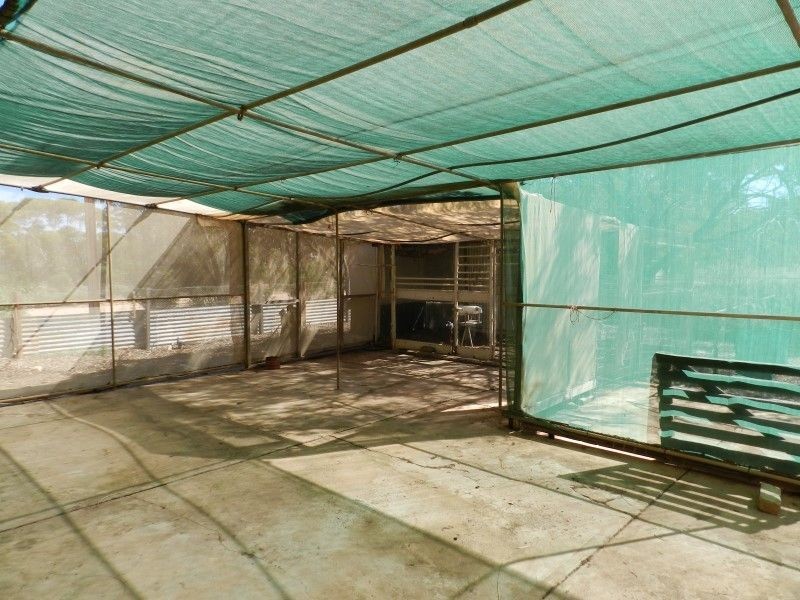 Lots 48 and 49 Willoughby Street, Yaninee SA 5653