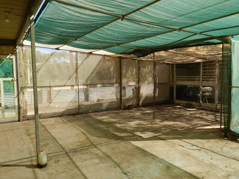 Lots 48 and 49 Willoughby Street, Yaninee SA 5653