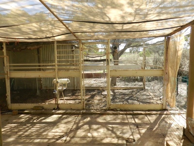 Lots 48 and 49 Willoughby Street, Yaninee SA 5653