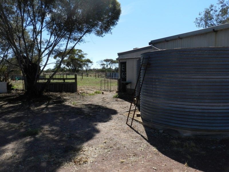 Lots 48 and 49 Willoughby Street, Yaninee SA 5653