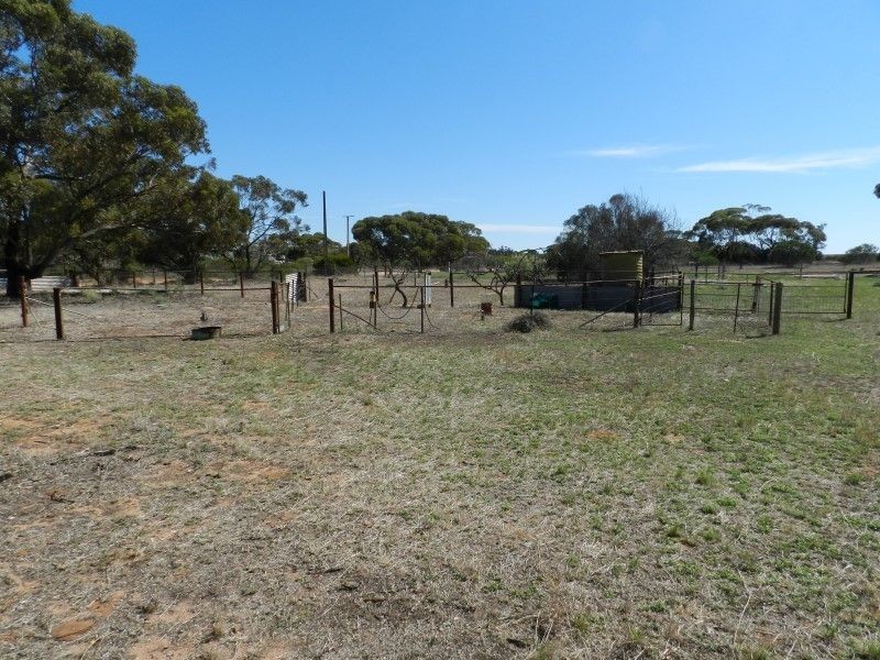 Lots 48 and 49 Willoughby Street, Yaninee SA 5653