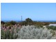 5 Gannet Crescent, Elliston SA 5670