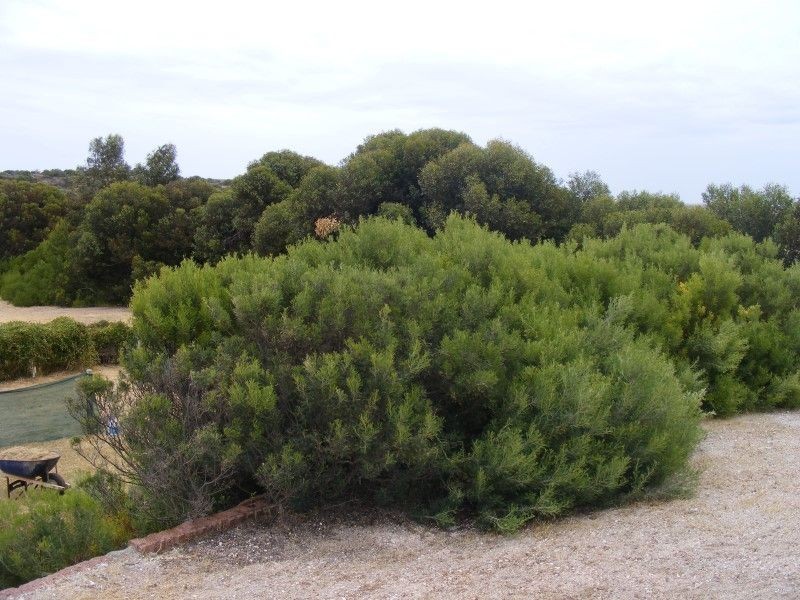 4 Gannet Crescent, Elliston SA 5670