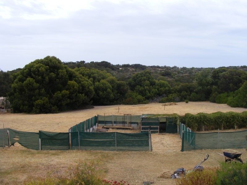 4 Gannet Crescent, Elliston SA 5670