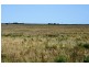Dog Fence Road, Piednippie SA 5680