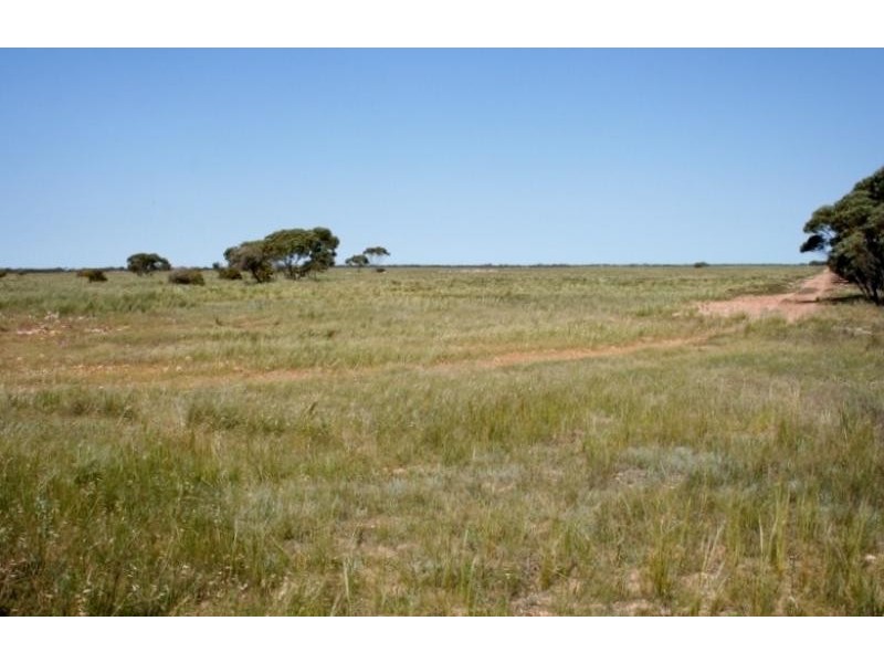 Dog Fence Road, Piednippie SA 5680