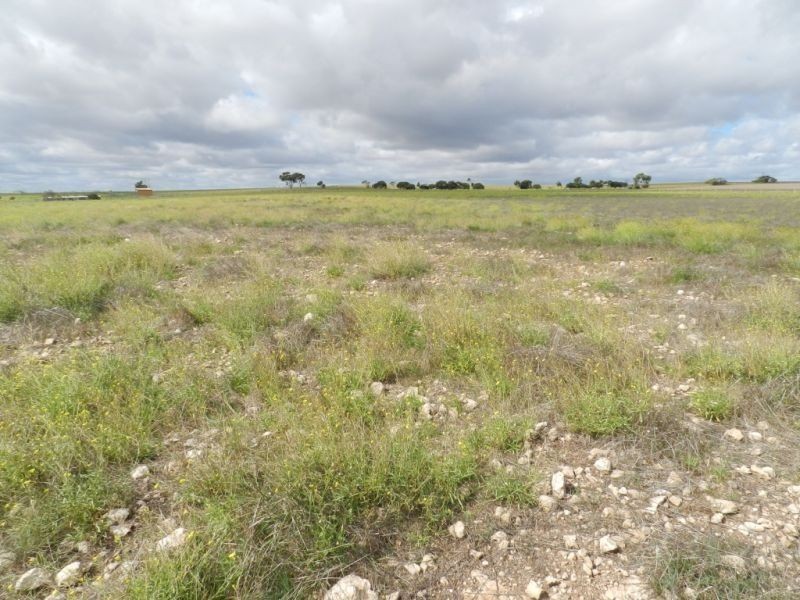 Sect.224 Government Road, Streaky Bay SA 5680