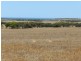 Haslam Dog Fence Road, Haslam SA 5680