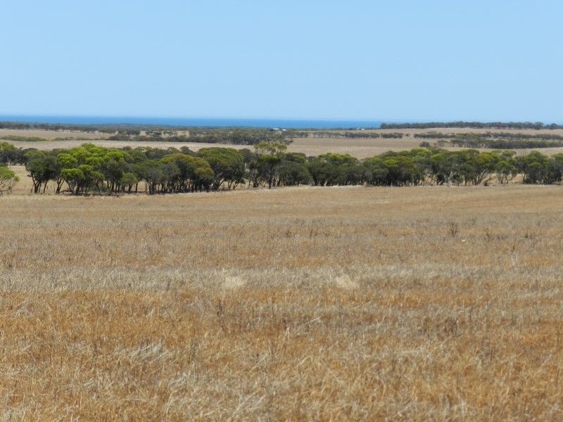 Haslam Dog Fence Road, Haslam SA 5680
