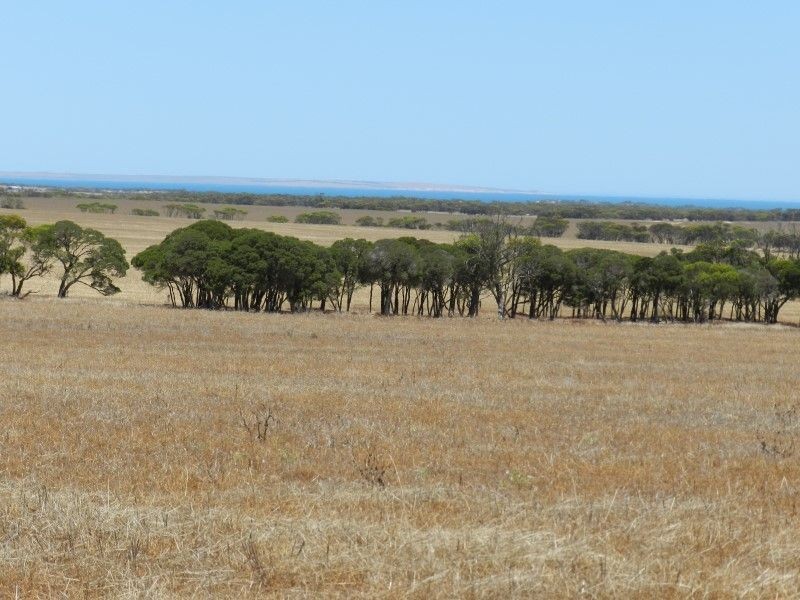 Haslam Dog Fence Road, Haslam SA 5680