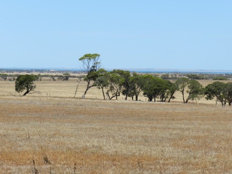 Haslam Dog Fence Road, Haslam SA 5680