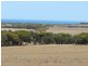 Haslam Dog Fence Road, Haslam SA 5680