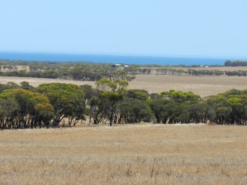 Haslam Dog Fence Road, Haslam SA 5680