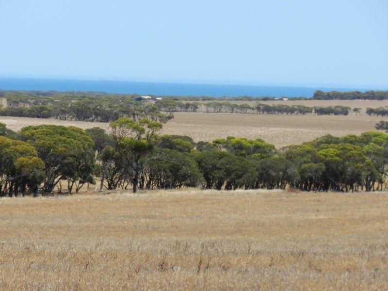 Haslam Dog Fence Road, Haslam SA 5680