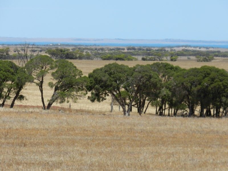 Haslam Dog Fence Road, Haslam SA 5680