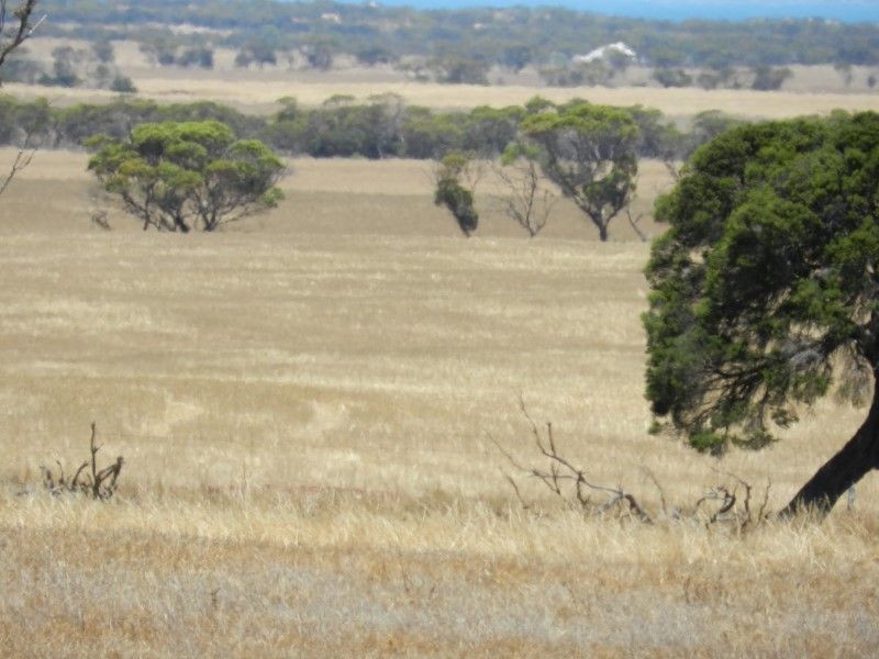Haslam Dog Fence Road, Haslam SA 5680