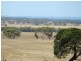 Haslam Dog Fence Road, Haslam SA 5680