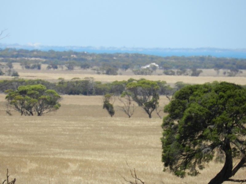 Haslam Dog Fence Road, Haslam SA 5680