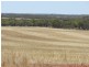 Haslam Dog Fence Road, Haslam SA 5680