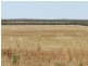 Haslam Dog Fence Road, Haslam SA 5680
