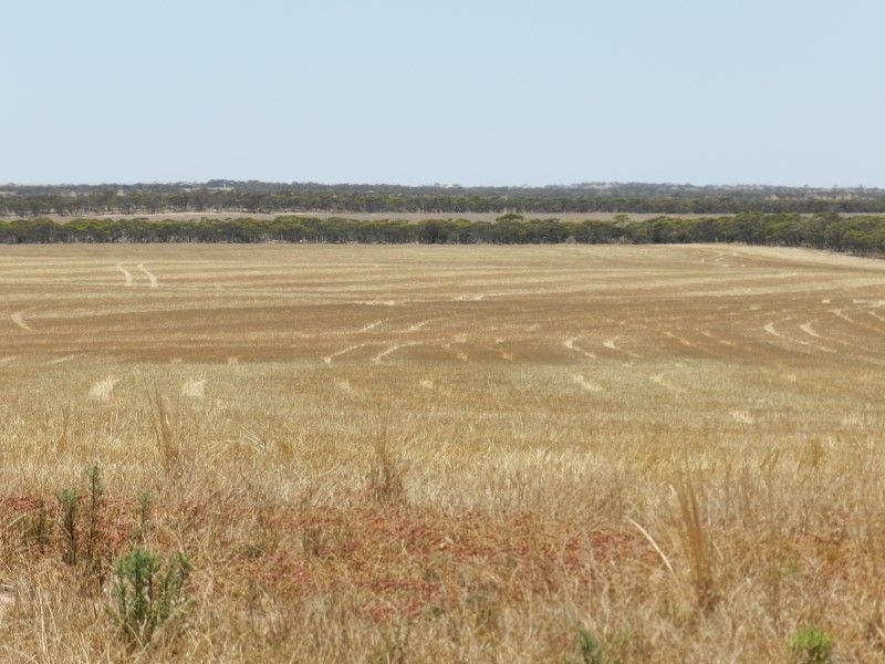 Haslam Dog Fence Road, Haslam SA 5680