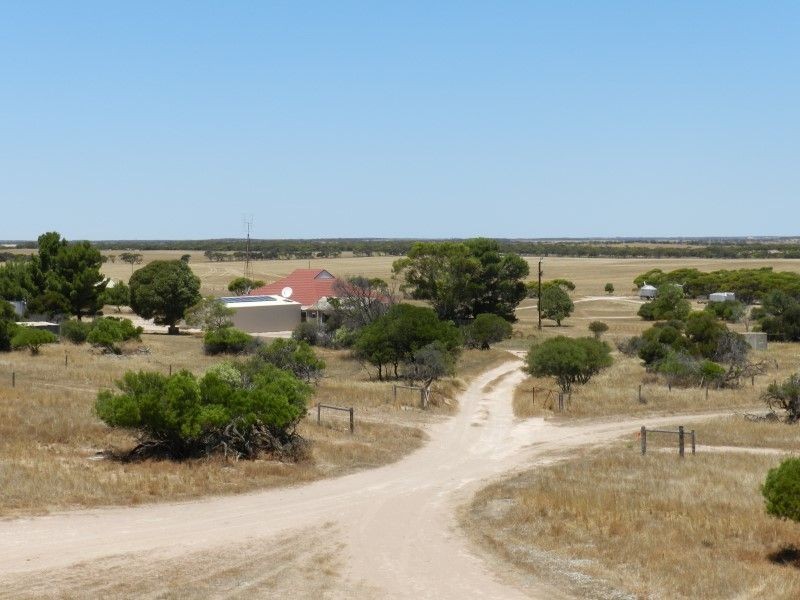 Haslam Dog Fence Road, Haslam SA 5680