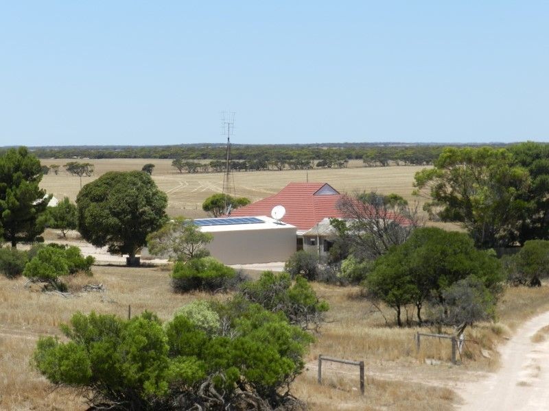 Haslam Dog Fence Road, Haslam SA 5680