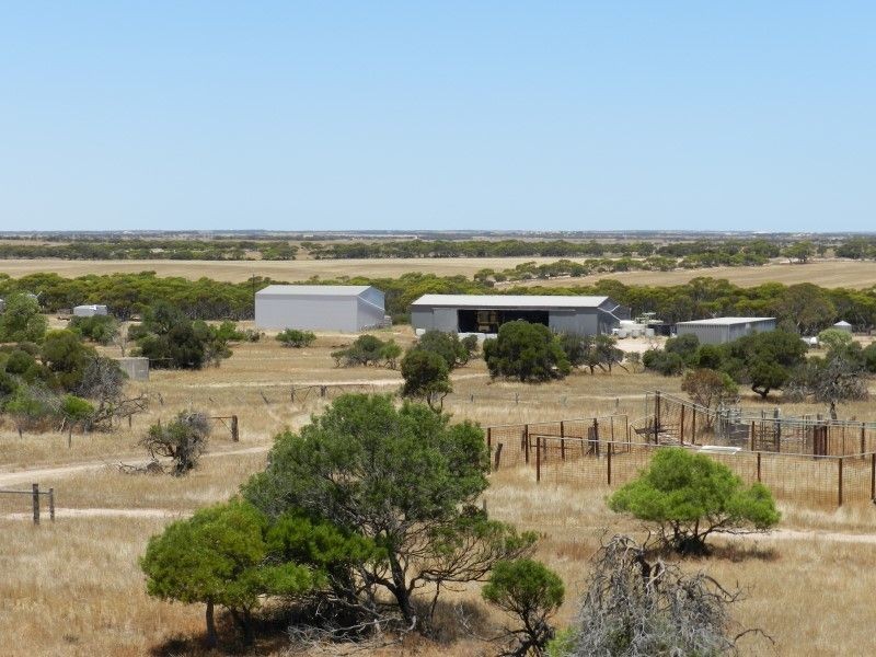 Haslam Dog Fence Road, Haslam SA 5680