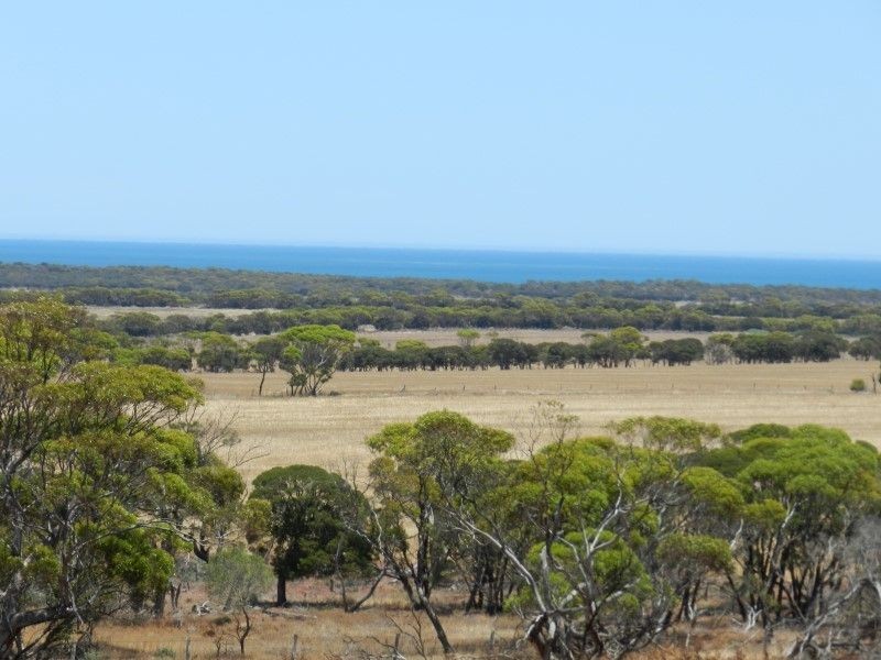 Haslam Dog Fence Road, Haslam SA 5680