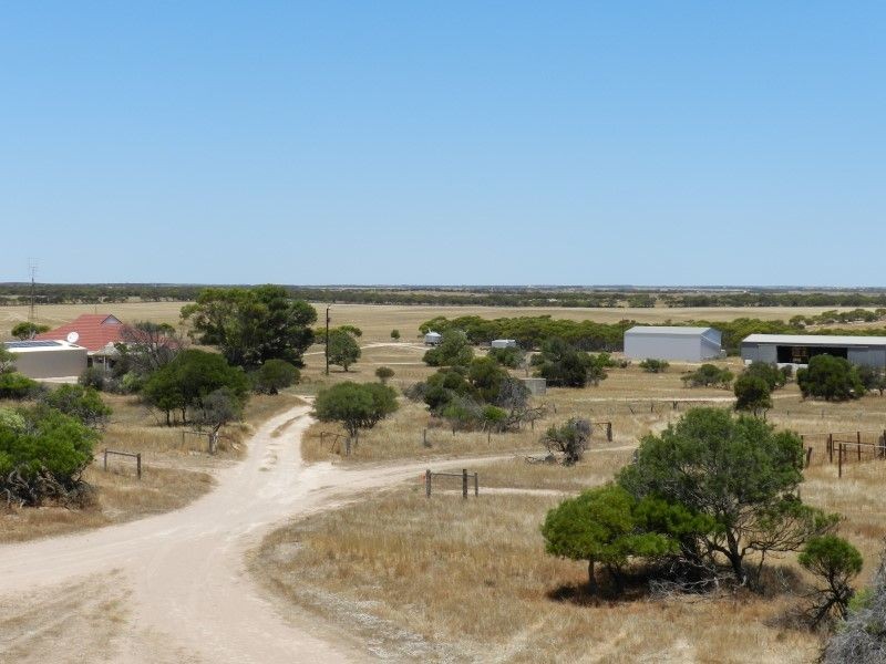 Haslam Dog Fence Road, Haslam SA 5680