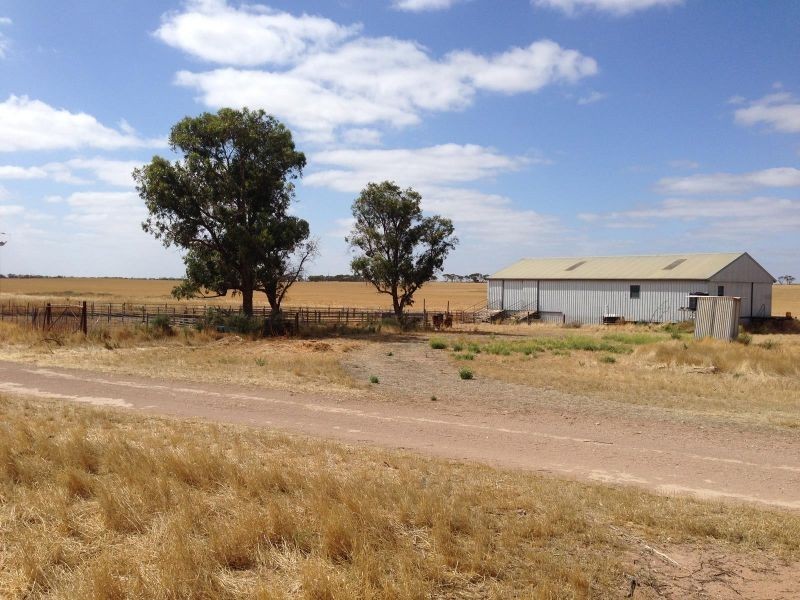 Haslam Dog Fence Road, Haslam SA 5680