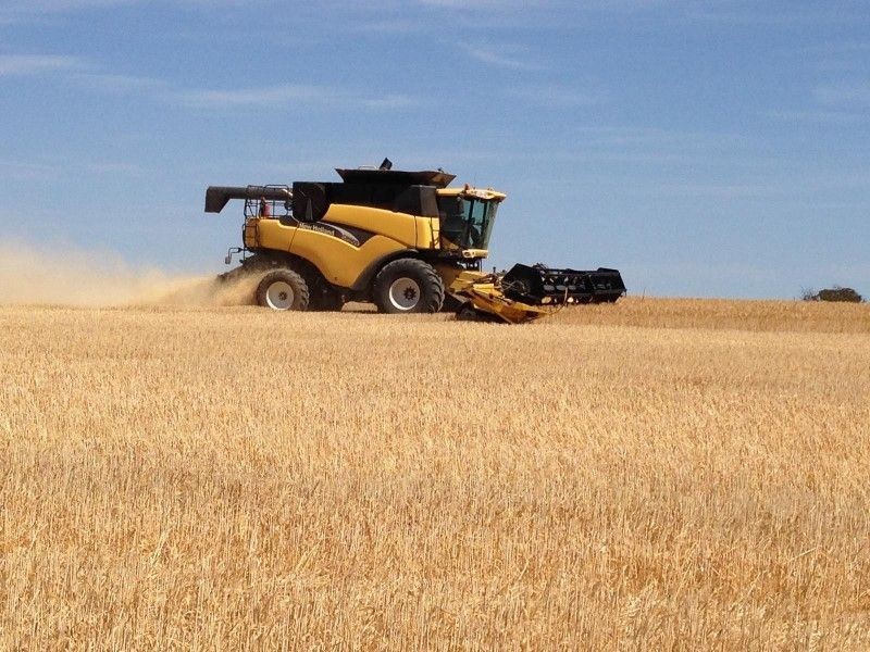 Haslam Dog Fence Road, Haslam SA 5680