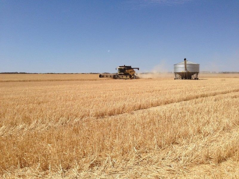 Haslam Dog Fence Road, Haslam SA 5680